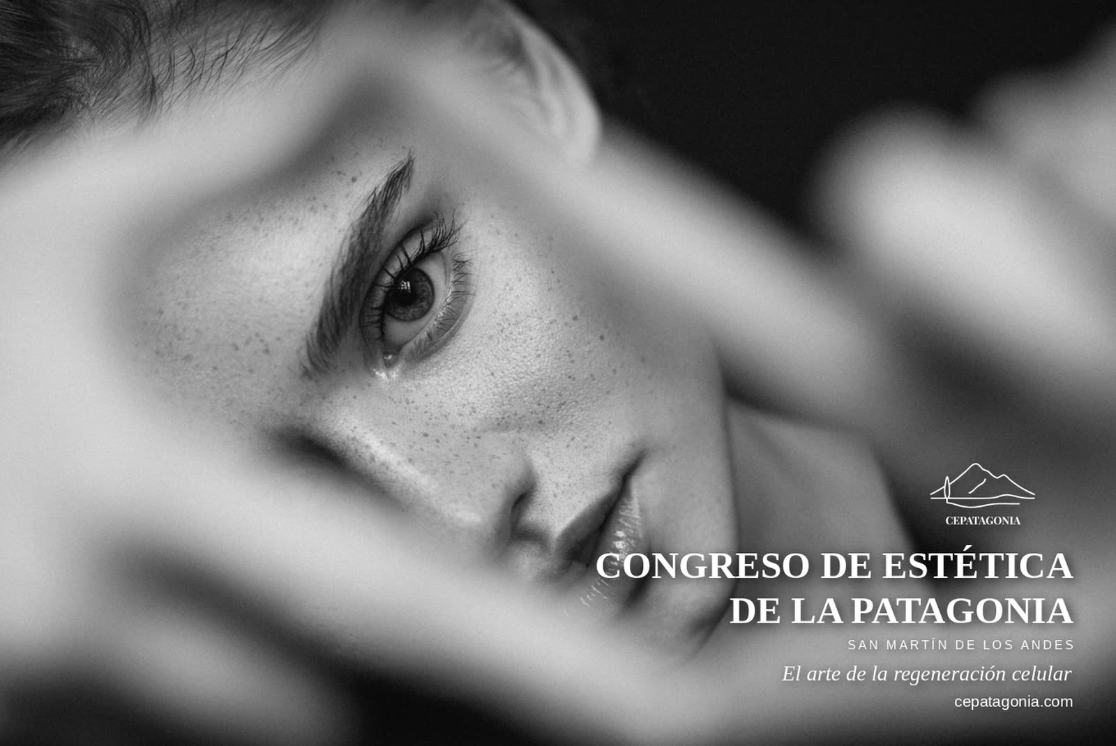 Pieza gráfica principal del Congreso de Estética de la Patagonia
